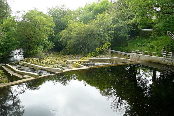 Photo 6"x4" Weir below Hill Bridge Horndon c2011