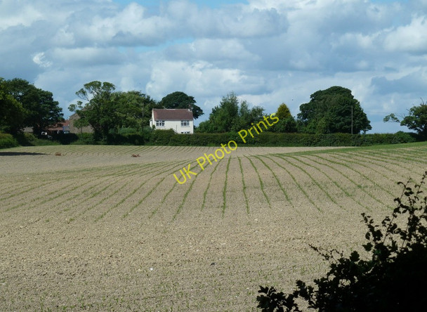 Photo 6"x4" Field between Branch Lane and the B6039 Common End\/SK4364 c2011