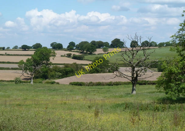 Photo 6"x4" Farmland, Hardstoft Common Hardstoft Common c2011
