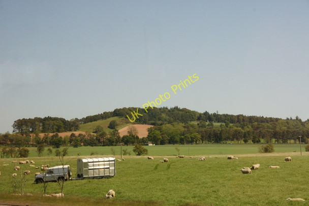 Photo 6"x4" Land Rover in a field of sheep at Bogside, near Forfar Forfar c2011