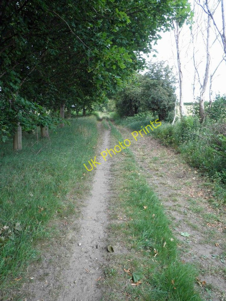 Photo 6"x4" Green Lane Serlby c2011