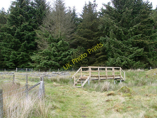 Photo 6"x4" Footbridge over Diliw Fechan Cefn\/SN8477 c2011