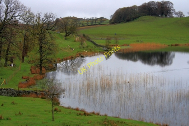Photo 6"x4" Bigland Tarn Haverthwaite c2008
