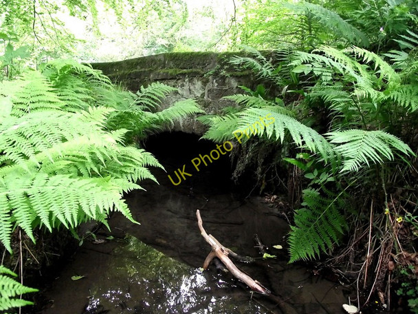 Photo 6"x4" Under the bridge Biddulph c2011