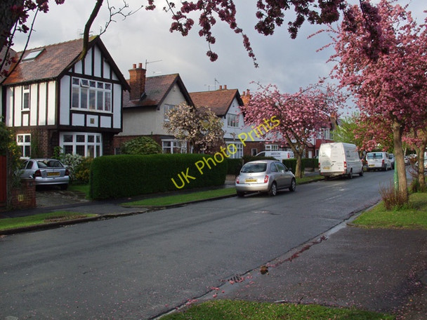 Photo 6"x4" Park Lane West, Hull Hessle\/TA0326 c2008