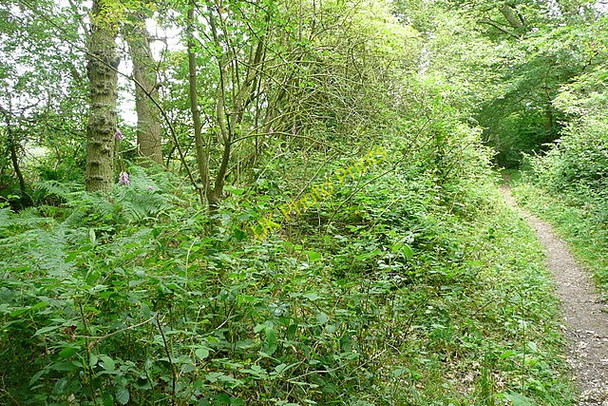 Photo 6"x4" Other route with public access Browninghill Green c2011