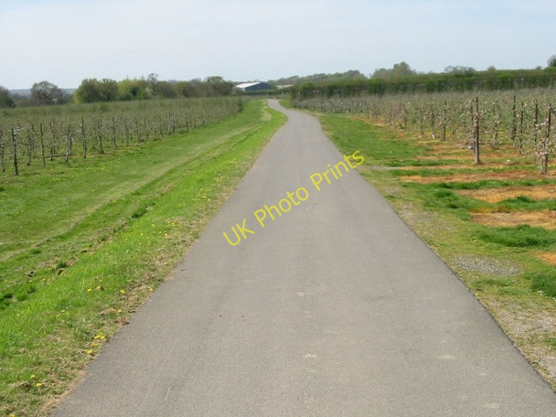 Photo 6"x4" Farm road and route of the Stour Valley Walk Canterbury\/TR1457 c2008