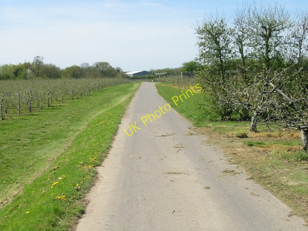 Photo 6"x4" Farm road and part of the Stour Valley Walk Chartham Hatch c2008