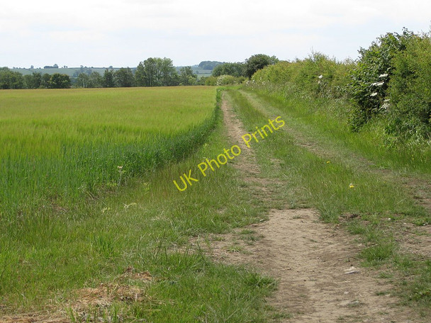 Photo 6"x4" Farm track along the edge of a barley crop Harome c2011