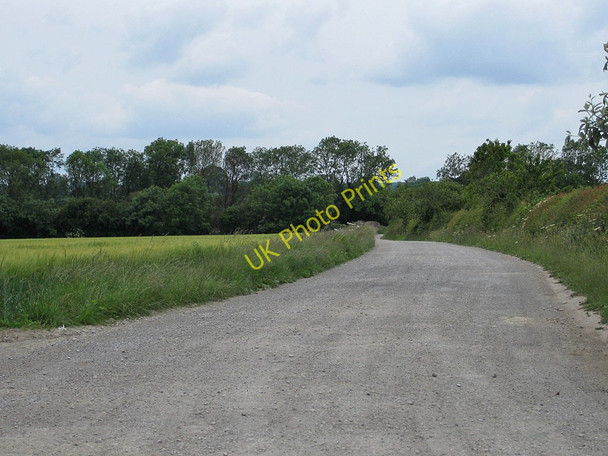 Photo 6"x4" Track to Rye House Farm Harome c2011