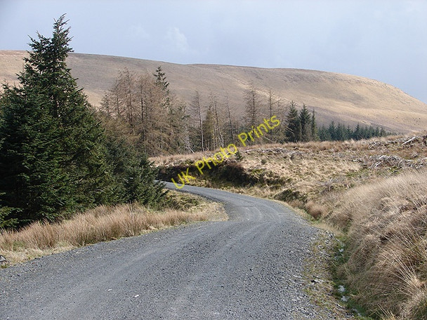 Photo 6"x4" Forestry road Llanifyny c2008