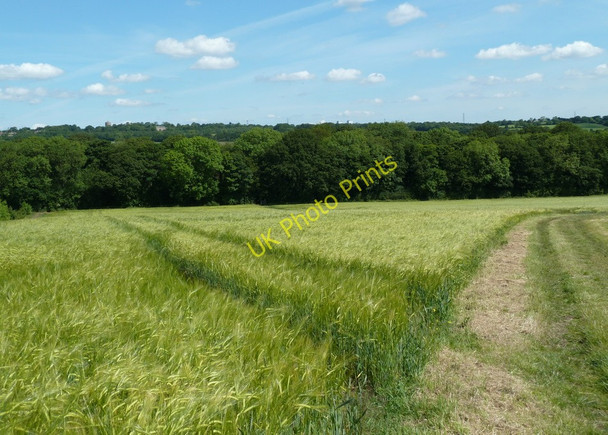 Photo 6"x4" Field to southern edge of Nor Wood Dronfield c2011