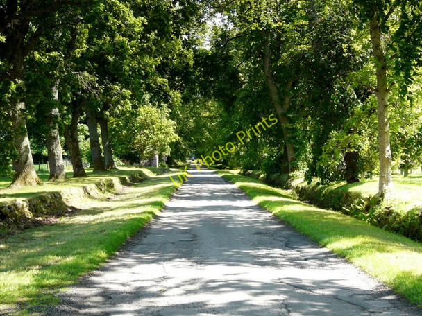 Photo 6"x4" Driveway at Novar House Evanton\/Baile-Eoghain c2011