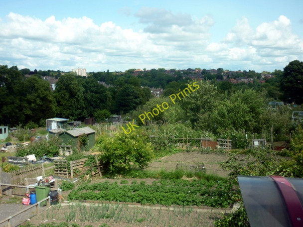 Photo 6"x4" Allotments at Chapeltown, Leeds Chapel Allerton\/SE3037 c2011