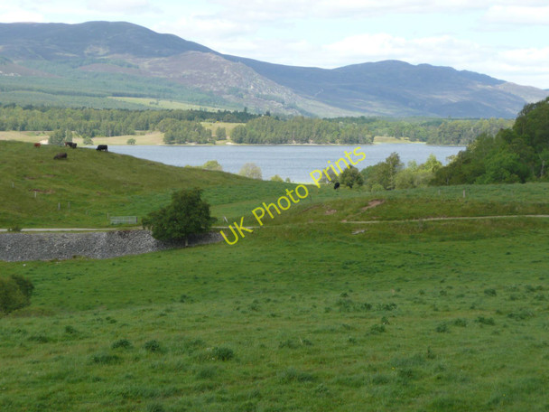 Photo 6"x4" Loch Insh Insh\/NH8101 c2011
