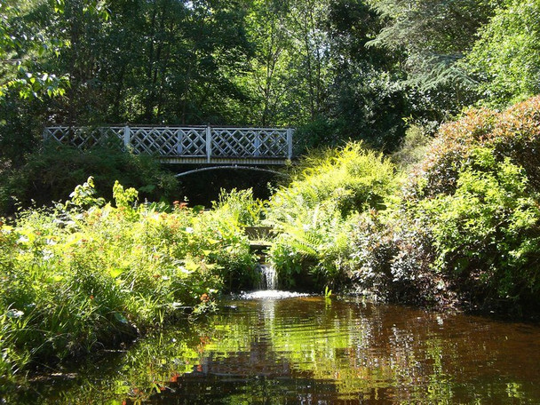 Photo 6"x4" In the water garden at Novar House Evanton\/Baile-Eoghain c2011