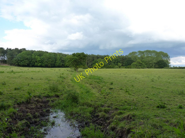 Photo 6"x4" The Orslow Brook at Coneygreaves Great Chatwell c2011