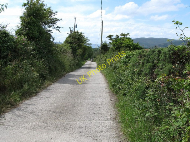 Photo 6"x4" View west along Ballymagart Lane Kilkeel c2011