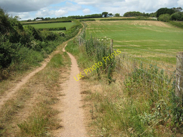 Photo 6"x4" The South West Coast Path near Little Dartmouth Stoke Fleming c2011
