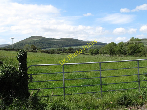 Photo 6"x4" Farmland westwards of Drumcro Road Kilkeel c2011