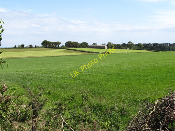 Photo 6"x4" Hay meadows south of Drumcro Road Kilkeel c2011