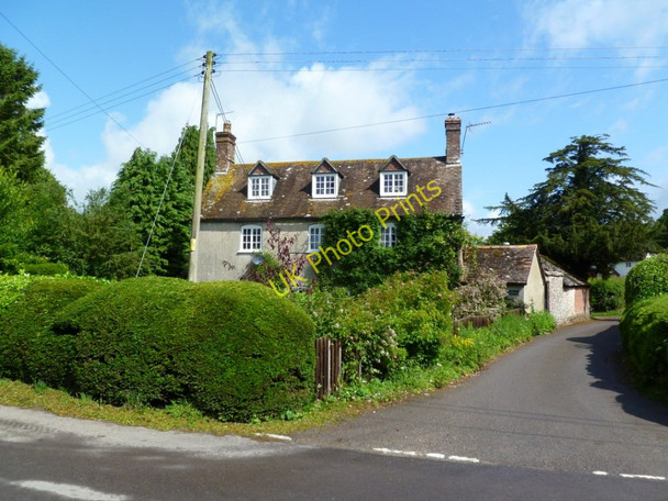 Photo 6"x4" Manswood, Drum Cottage Manswood c2011
