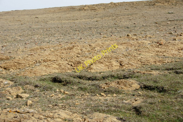 Photo 6"x4" Serpentine debris, Keen of Hamar NNR Baltasound c2011