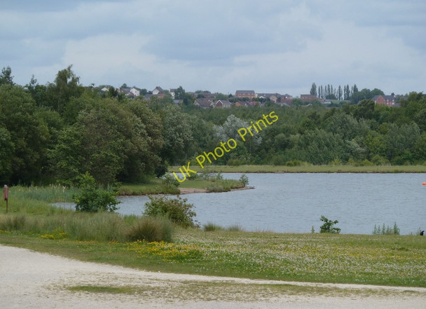 Photo 6"x4" By the northern lake in Rother Valley Country Park Beighton\/SK4483 c2011