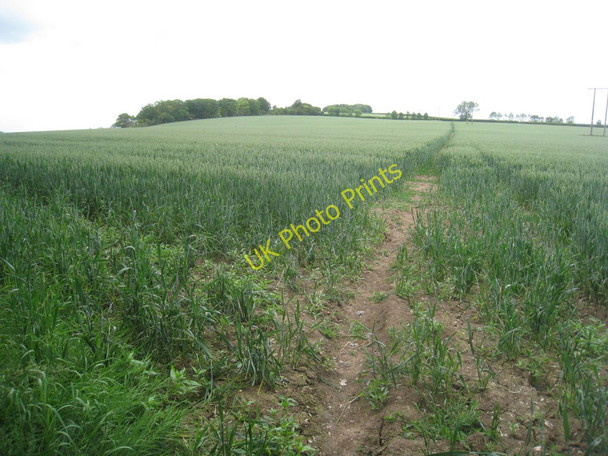 Photo 6"x4" Footpath north of May Wood Fotherby c2011