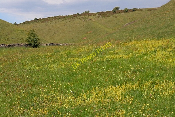 Photo 6"x4" Long Dale Pikehall c2011