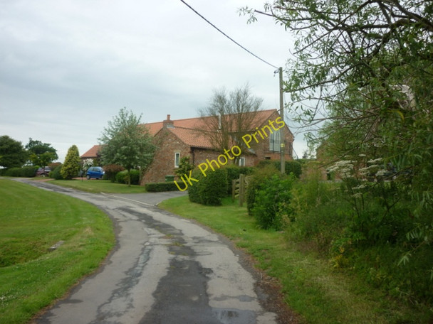 Photo 6"x4" Daffy Lane at Woodhouse Farm Crayke c2011