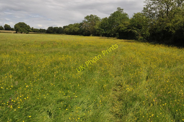Photo 6"x4" Bridleway near Beanhall Mill Farm Feckenham c2011