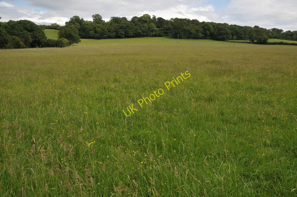 Photo 6"x4" Field near Muzzy Hill Edgiock c2011