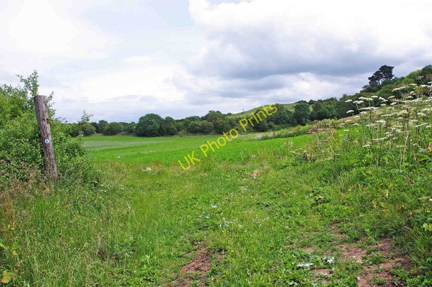 Photo 6"x4" Field adjacent to public bridleway, Blackstone Bewdley\/SO7875 c2011