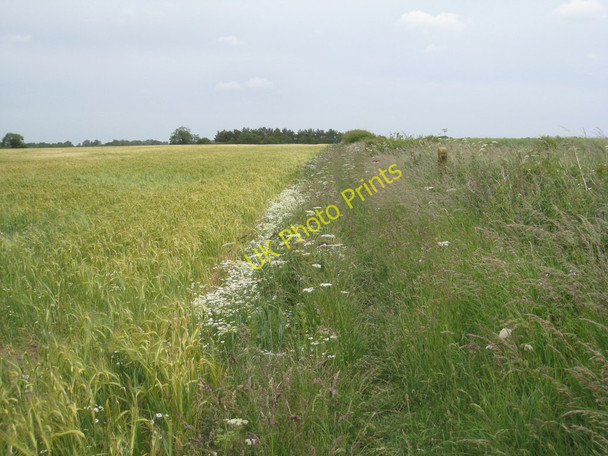 Photo 6"x4" The footpath to Grimoldby South Cockerington c2011
