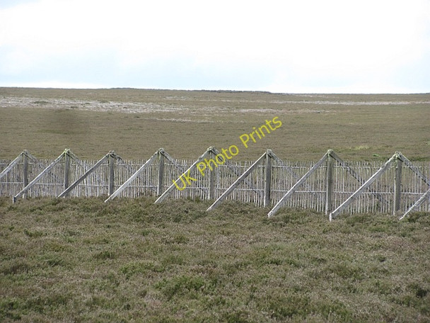 Photo 6"x4" Greenlaw Moor Greenlaw\/NT7146 c2011