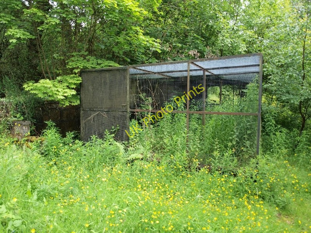 Photo 6"x4" Disused aviary in Linn Park Cathcart c2011