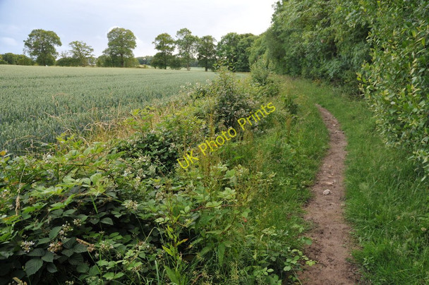 Photo 6"x4" Bridleway beside Coughton Park Coughton\/SP0760 c2011
