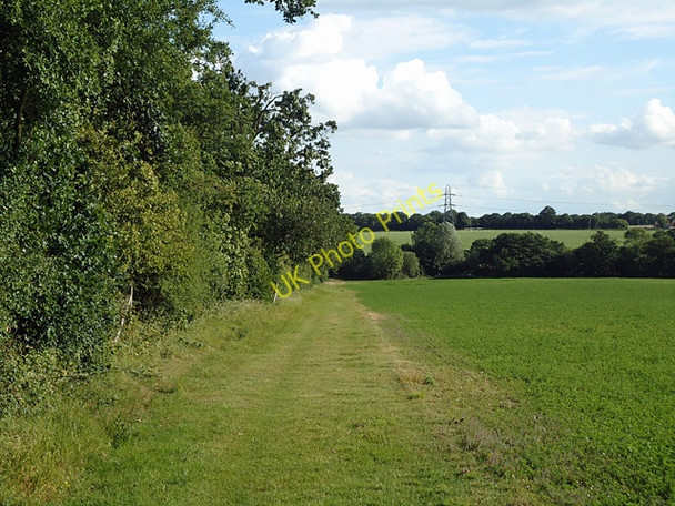 Photo 6"x4" Backwarden boundary Butt's Green\/TL7603 c2011
