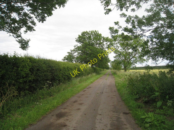 Photo 6"x4" The road to Hill Farm Grasby c2011