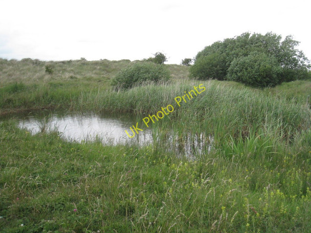 Photo 6"x4" Pond in the dunes Rimac c2011