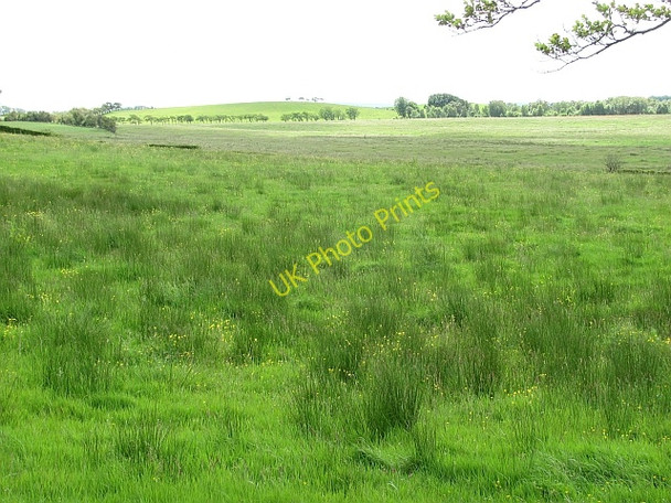 Photo 6"x4" Wet pasture, Devonhill Earnock c2011