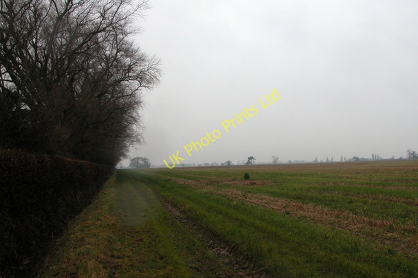 Photo 6"x4" Farmland at the northern end of Hayling Island. North Hayling c2006