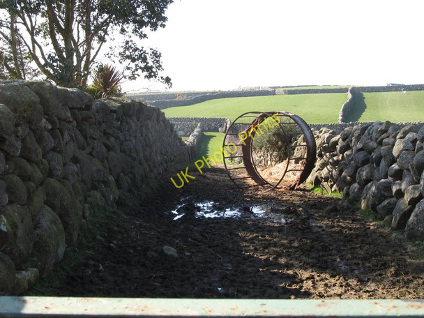 Photo 6"x4" Green lane off Sabbath Hill Annalong c2011