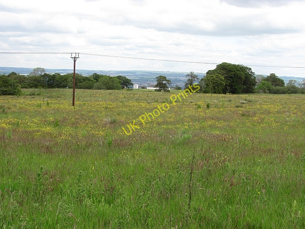 Photo 6"x4" Meadows off Muttonhole Lane Earnock c2011