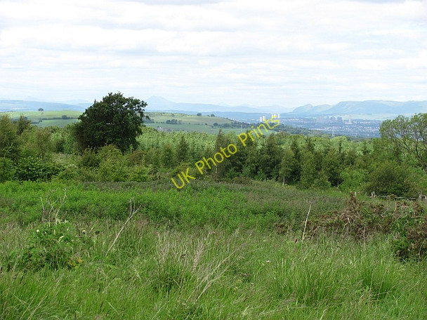 Photo 6"x4" Woodland off Newhousemill Road Earnock c2011