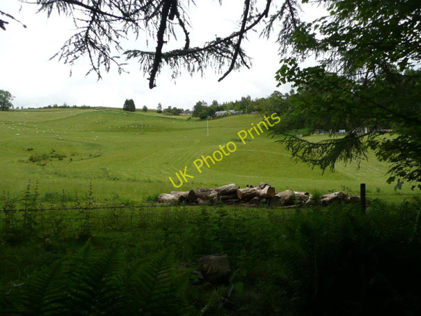 Photo 6"x4" Looking from the woods towards Fenderbridge Middlebridge c2011