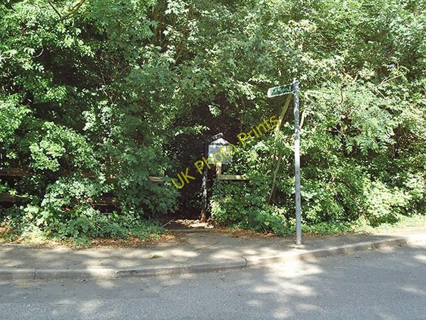 Photo 6"x4" Yardley Hill path Chingford c2011
