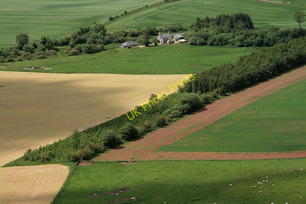 Photo 6"x4" Farmland at Longleefoot Faughill c2011