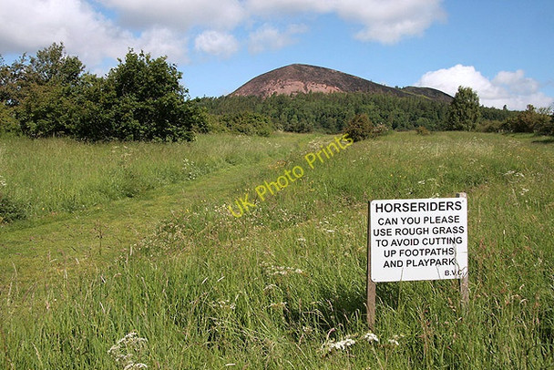 Photo 6"x4" The St Cuthbert's Way at Bowden Common Bowden\/NT5530 c2011